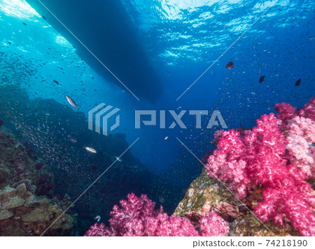 Silhouette of a ship floating on the surface of a coral reef (Mergui Archipelago, Myanmar) 74218190