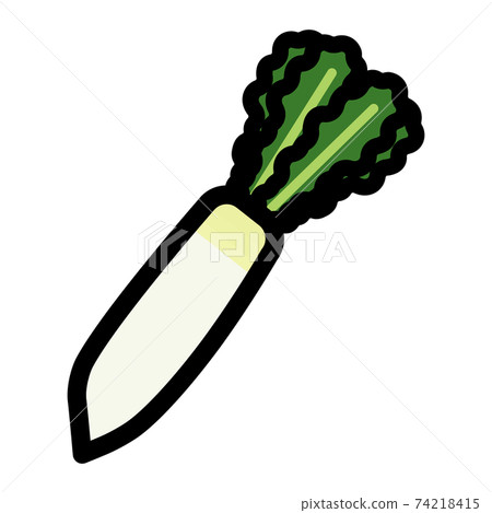 Illustration of vegetable radish 74218415