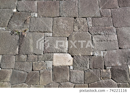 The stone wall of Edo Castle in Kitanomaru Park The stone wall of Edo Castle in Kitanomaru Park 74221116