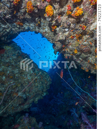 Looking up at the water surface from the bottom of an underwater cave (Mergui Archipelago, Myanmar) Looking up at the water surface from the bottom of an underwater cave (Mergui Archipelago, Myanmar) 74221723
