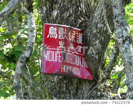 Signboard of wildlife sanctuary swallowed by trees (Wakkanai City) 74222578