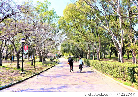 長居公園春天風景 74222747