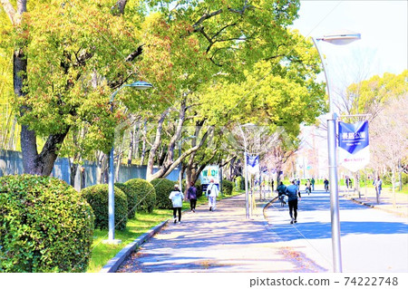 長居公園春天風景 長居公園春天風景 74222748