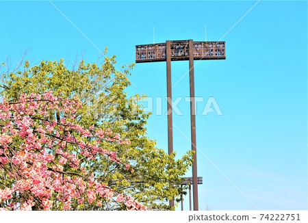 Nagai Park Spring scenery 74222751