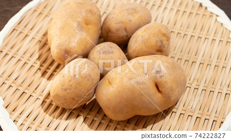 Characterized by the potato "Inca Awakening", made in Japan, and bright yellow. Soggy, delicious and popular Characterized by the potato "Inca Awakening", made in Japan, and bright yellow. Soggy, delicious and popular 74222827