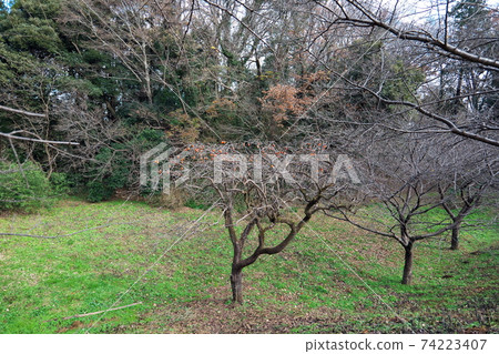 Usui Castle Ruins Usui Castle Ruins 74223407