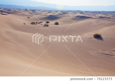 Sand dunes in California Sand dunes in California 74223573