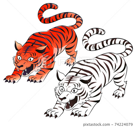 白虎和紅虎 白虎和紅虎 74224079