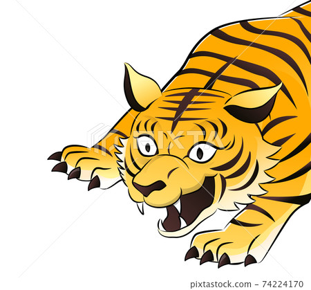 Upper body of a yellow tiger Upper body of a yellow tiger 74224170