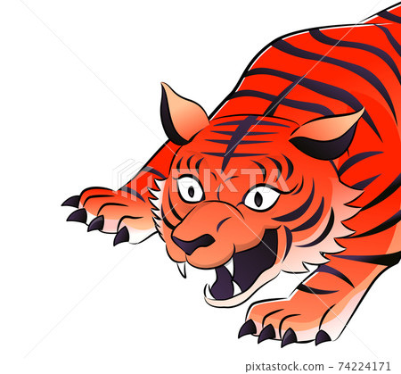 Red tiger upper body Red tiger upper body 74224171