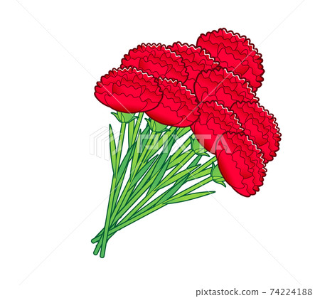 Carnation bouquets Carnation bouquets 74224188