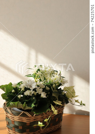 Room in which light enters 74225701