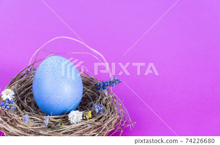 Colorful background with Easter eggs on pink background. Happy Easter concept. Can be used as poster, background, holiday card. Flat lay, top view, copy space. Studio Photo Colorful background with Easter eggs on pink background. Happy Easter concept. Can be used as poster, background, holiday card. Flat lay, top view, copy space. Studio Photo 74226680
