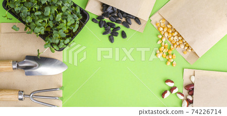 Spring preparation and planning for sowing vegetable. Veggie seeds in craft paper envelopes. Seasonal garden work 74226714
