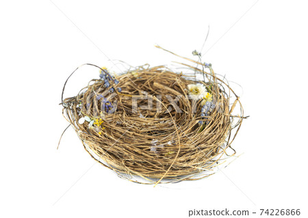 bird Nest on white background. Studio Photo bird Nest on white background. Studio Photo 74226866