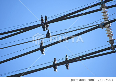 防鳥劑附著在電線上 照片素材 圖片 圖庫