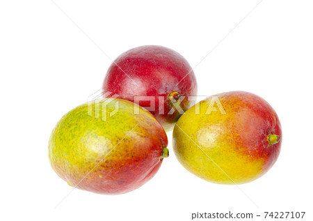 Ripe, juicy, sweet red-green mango. Exotic fruits isolated on white. Studio Photo 74227107