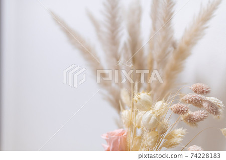 Fashionable and cute dried flowers 74228183