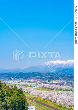 A famous place for cherry blossoms in Tohoku, Ichimoku Senbon Sakura [Miyagi Prefecture] 74228970