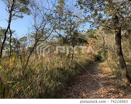 Ono Alps mountain trail in winter 74228983