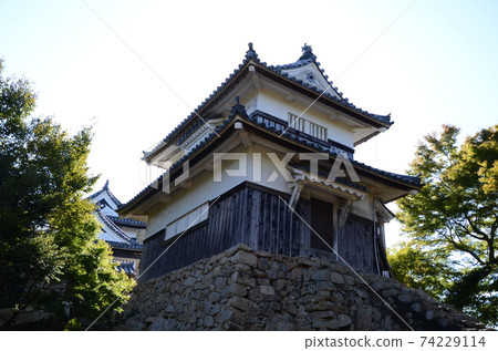 Bichu Matsuyama Castle Double turret 74229114