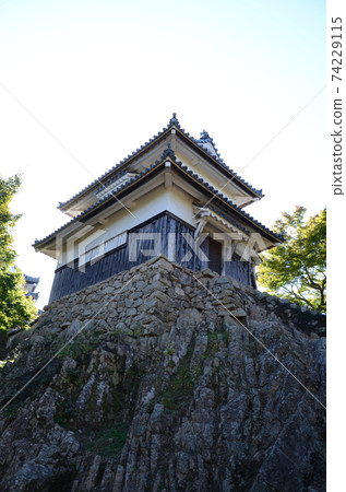 Bichu Matsuyama Castle Double turret 74229115