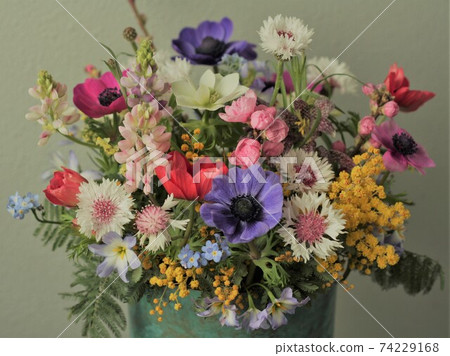 Hina Festival 74229168