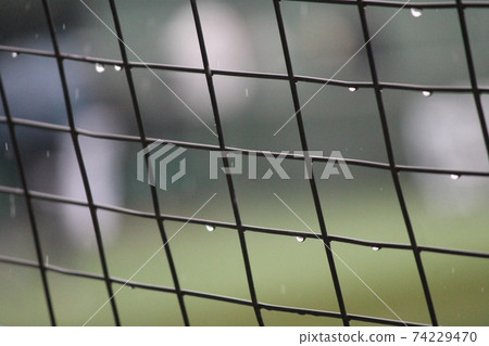 Back net after the rain Back net after the rain 74229470
