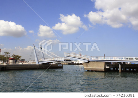 Blue Wing Moji (Hane Bridge) 74230391