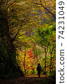 Go on the mountain road of autumn leaves 74231049