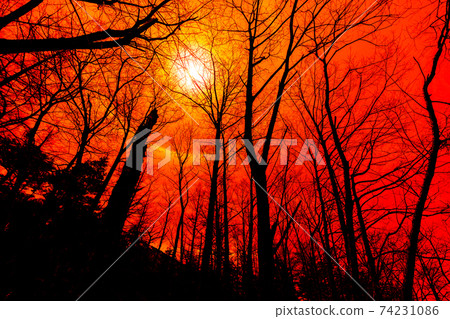 Kamikochi, Matsumoto City, Nagano Prefecture, Mt. Hotaka, scenic spots, mountains, rivers, Azusa River, Japanese Alps, mountains, Chubu Mountain National Park, Spring Kamikochi, Matsumoto City, Nagano Prefecture, Mt. Hotaka, scenic spots, mountains, rivers, Azusa River, Japanese Alps, mountains, Chubu Mountain National Park, Spring 74231086