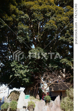 松戶赤城神社附近的Sudajii 松戶赤城神社附近的Sudajii 74232340
