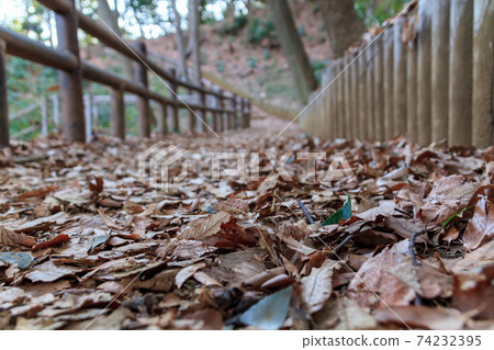 Autumn mountain walkway 74232395