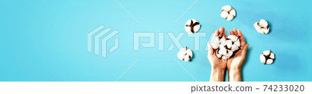Female hands holding cotton flowers 74233020