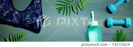 Fitness theme with dumbbells and sports bra Fitness theme with dumbbells and sports bra 74233024
