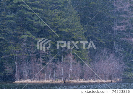 長野縣松本市上高地,穗高岳,風景區,山區河流,高原,Azusa河,日本阿爾卑斯山,山,中部山國家公園,春天 長野縣松本市上高地,穗高岳,風景區,山區河流,高原,Azusa河,日本阿爾卑斯山,山,中部山國家公園,春天 74233826