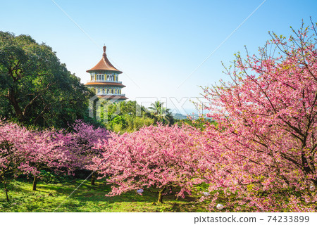 Wuji Tianyuan temple in New Taipei City, Taiwan. 74233899