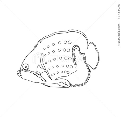 sea fish in linear drawing. Children drawing for coloring. Vector on white sea fish in linear drawing. Children drawing for coloring. Vector on white 74233920