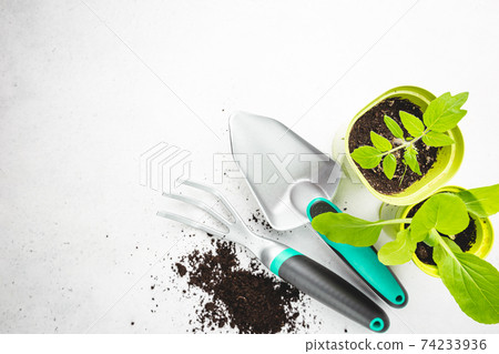 Gardening or planting concept. Gardening or planting concept. 74233936