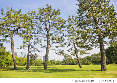 故宮江戶城城堡塔本丸本丸草坪 74234204