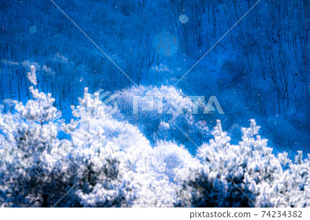 《Nagano》 Diamond dust dance, rime forest 74234382