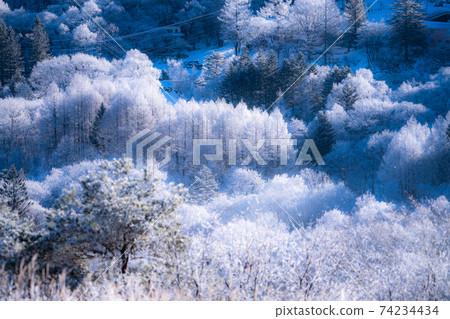 《Nagano Prefecture》 Rime virgin forest, Tateshina Highland 《Nagano Prefecture》 Rime virgin forest, Tateshina Highland 74234434