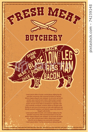 Fresh meat. Poster template with meat cut on grunge background. Vector illustration 74239148