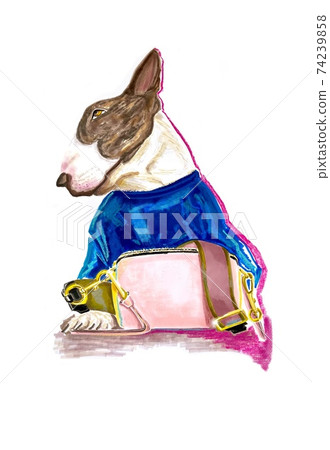 Hand-drawn stylized colorful and bright illustration of a pit bull terrier puppy in a fashion outfit: in a blue t-shirt with a crossbody bag on a white background. Postcard for dog lovers Hand-drawn stylized colorful and bright illustration of a pit bull terrier puppy in a fashion outfit: in a blue t-shirt with a crossbody bag on a white background. Postcard for dog lovers 74239858