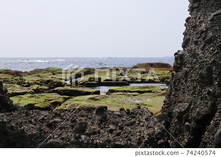 Shizuoka Shimoda Ebisu Island Senjojiki Shizuoka Shimoda Ebisu Island Senjojiki 74240574