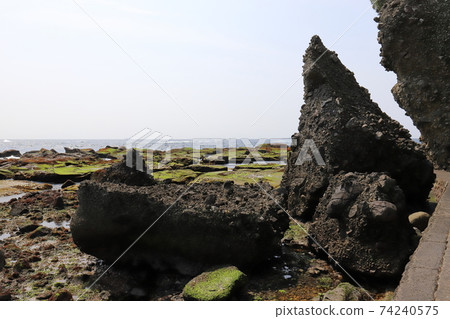 Shizuoka Shimoda Ebisu Island Shizuoka Shimoda Ebisu Island 74240575