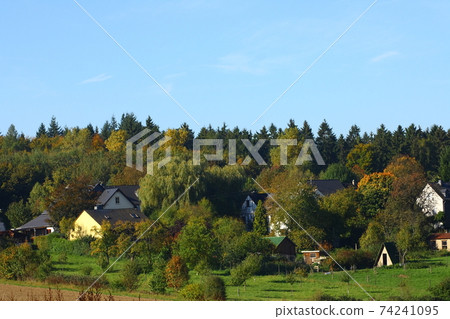 Homes in the Forest 74241095