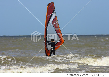 sailboarder sailboarder 74241126