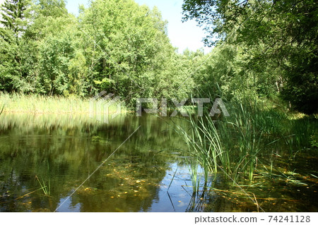lake lake 74241128