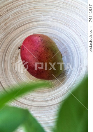 One single whole mango fruit in a bamboo dish top view One single whole mango fruit in a bamboo dish top view 74241987